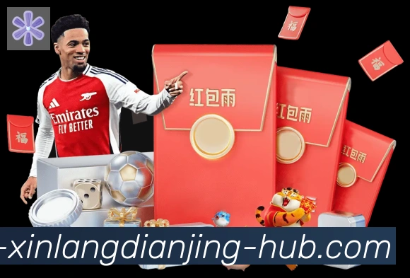未来规划
