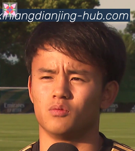 维尼修斯